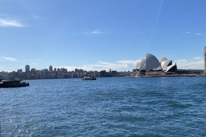 A picture of the Sydney Opera House and the surrounding city from the ferry.