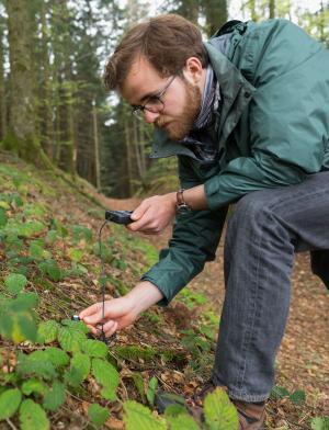 student on an Environmental Studies & Sustainability course looking at a leaf with a magnifying glass