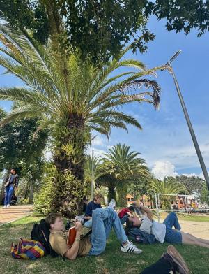 students studying beneath a palm tree on USFQ's Cumbaya campus