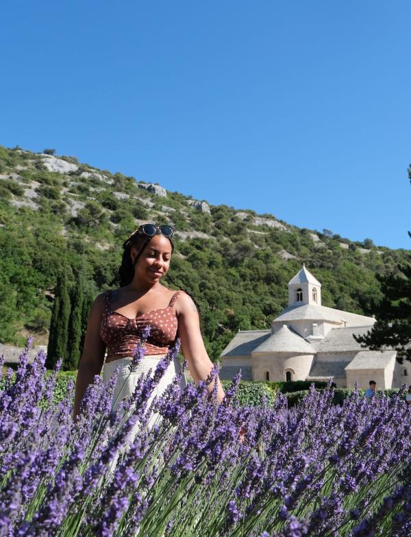 lavender fields