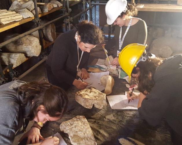 A group of students examining an archaeological dig
